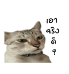 Mhuham（個別スタンプ：16）