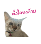 Mhuham（個別スタンプ：18）