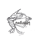 Classic Crayfish（個別スタンプ：6）