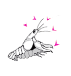 Classic Crayfish（個別スタンプ：12）