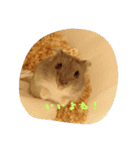 毛玉ーずのいろいろすたんぷ（個別スタンプ：14）