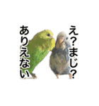 O家の家族（個別スタンプ：2）