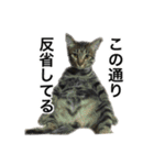O家の家族（個別スタンプ：3）
