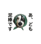 O家の家族（個別スタンプ：4）