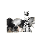 O家の家族（個別スタンプ：8）