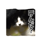 O家の家族（個別スタンプ：9）