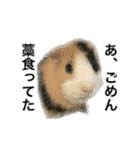 O家の家族（個別スタンプ：10）