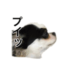 O家の家族（個別スタンプ：11）