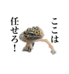 O家の家族（個別スタンプ：13）