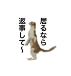 O家の家族（個別スタンプ：15）