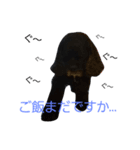 クック船長（個別スタンプ：6）