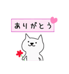 白猫ホイップ♡伊予弁（個別スタンプ：4）