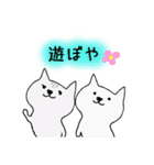 白猫ホイップ♡伊予弁（個別スタンプ：21）