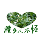beautiful pictures:gift（個別スタンプ：2）
