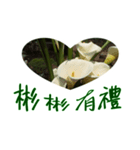 beautiful pictures:gift（個別スタンプ：4）