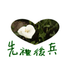 beautiful pictures:gift（個別スタンプ：5）
