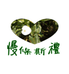 beautiful pictures:gift（個別スタンプ：6）