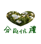 beautiful pictures:gift（個別スタンプ：8）