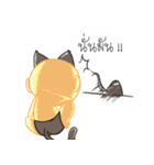 Kid Cat（個別スタンプ：5）