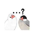 普段使い文鳥（個別スタンプ：5）