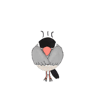 普段使い文鳥（個別スタンプ：18）