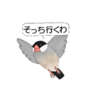 普段使い文鳥（個別スタンプ：21）