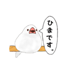 普段使い文鳥（個別スタンプ：25）