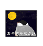 普段使い文鳥（個別スタンプ：27）