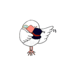 普段使い文鳥（個別スタンプ：28）