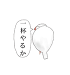 普段使い文鳥（個別スタンプ：38）