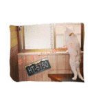 わたしうにょ（個別スタンプ：1）