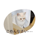 わたしうにょ（個別スタンプ：2）