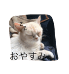 わたしうにょ（個別スタンプ：5）