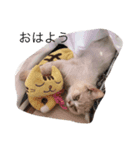 わたしうにょ（個別スタンプ：7）