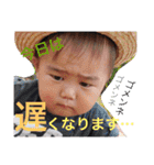りつ＆すい vol.1（個別スタンプ：13）