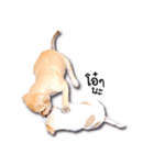 Munch's Friends（個別スタンプ：11）