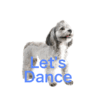 愛犬シープー殿（個別スタンプ：15）