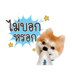 Fhew Chokchai 4 talk cute.（個別スタンプ：6）