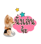 Fhew Chokchai 4 talk cute.（個別スタンプ：8）