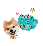 Fhew Chokchai 4 talk cute.（個別スタンプ：12）