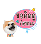 Fhew Chokchai 4 talk cute.（個別スタンプ：16）