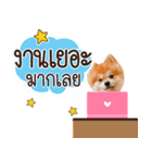 Fhew Chokchai 4 talk cute.（個別スタンプ：24）