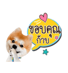 Fhew Chokchai 4 talk cute.（個別スタンプ：33）