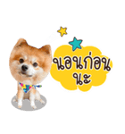 Fhew Chokchai 4 talk cute.（個別スタンプ：39）