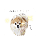 ぽめらにあんはっぴー君2（個別スタンプ：14）
