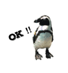 生き物たちの一言（個別スタンプ：2）