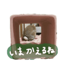 あぽろ⑴（個別スタンプ：7）