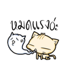 MadMeow (cute version)（個別スタンプ：12）