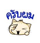 MadMeow (cute version)（個別スタンプ：31）