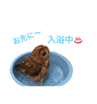 ふくろうの、りおさん。（個別スタンプ：21）